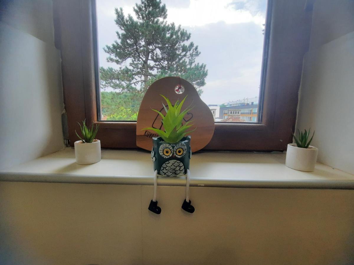 Apartman Koricanac Vrnjačka Banja Exteriör bild